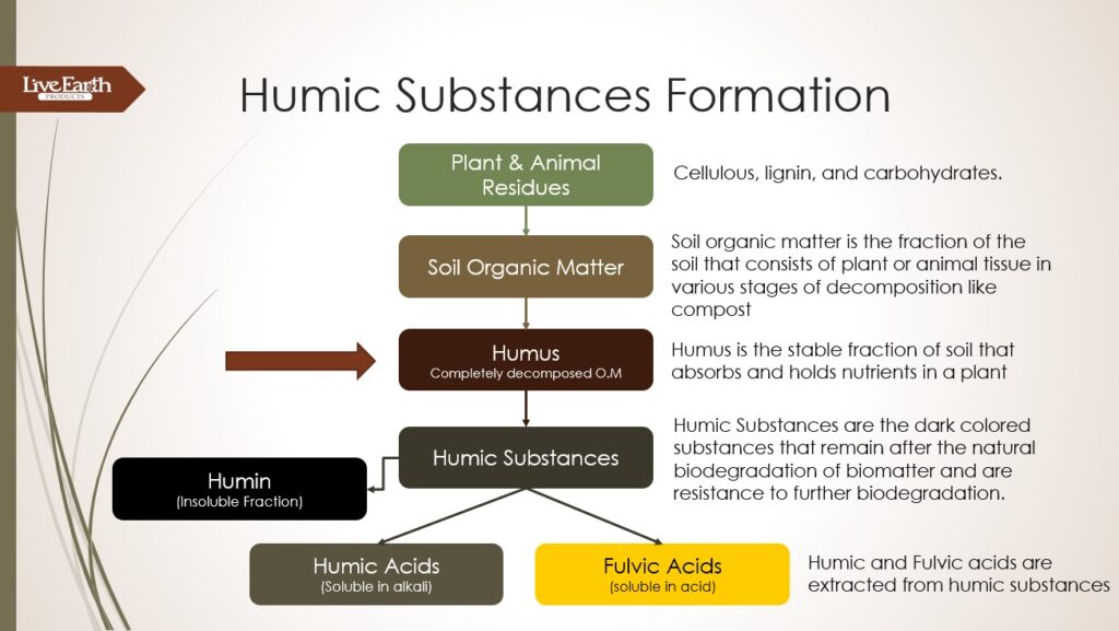 Humic Substance Formation