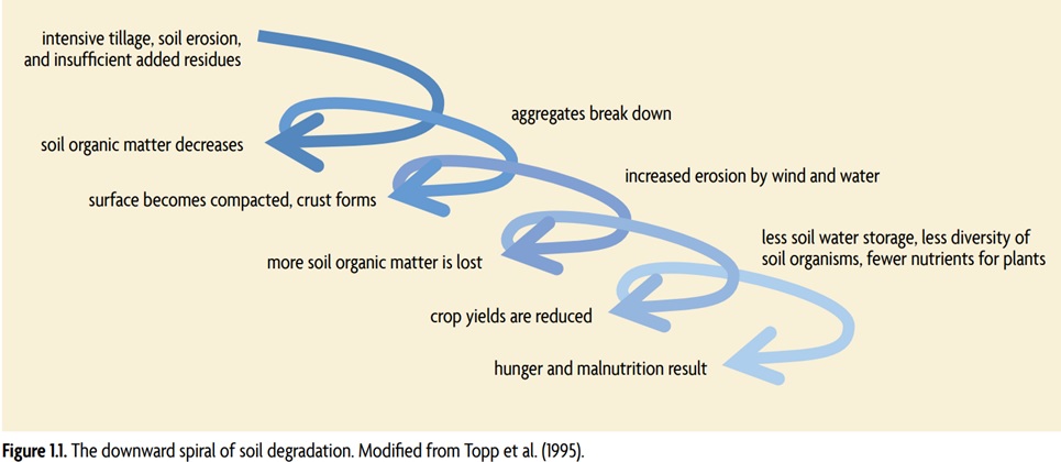 SARE degradation of soil